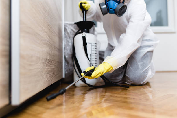  Grafton, ND Pest Control Pros