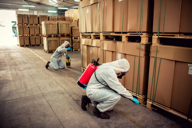 Best Wasp Removal Services  in Grafton, ND