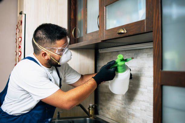 Best Local Pest Control Services  in Grafton, ND