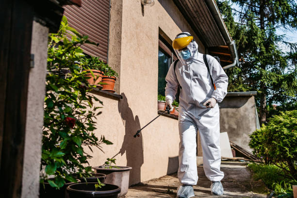 Best Best Pest Control Companies  in Grafton, ND