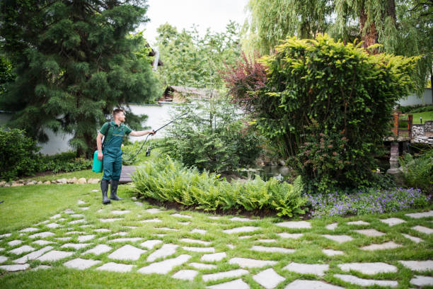 Best Cockroach Control Services  in Grafton, ND