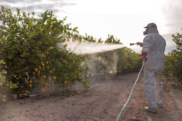 Best Best Pest Control Companies  in Grafton, ND