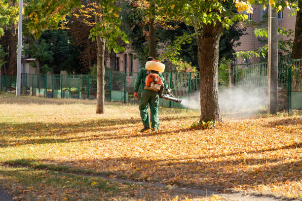 Best Emergency Pest Control  in Grafton, ND