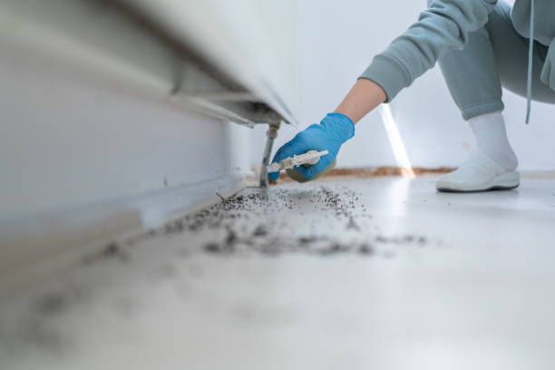 Best Residential Pest Control  in Grafton, ND
